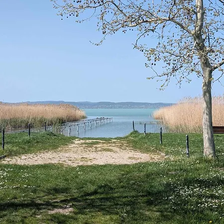 In - Balaton 53551