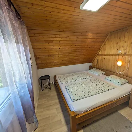 In - Balaton 53551 Ferienhaus *