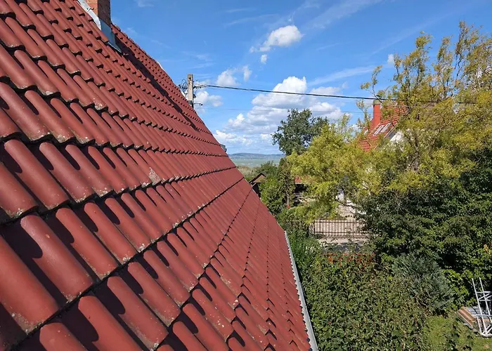 In - Balaton 53551 *